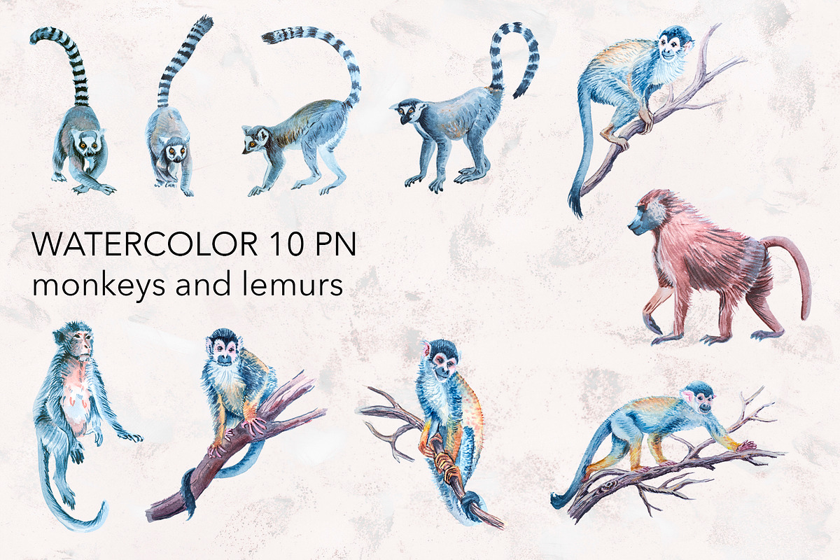 Watercolor Exotic Animals., an Animal Illustration by lilisavelieva (Photo 4 of 7)