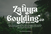 Signature Mango - Modern Retro Font, a Serif Font by Shakira Studio (Thumbnail 10 of 18)