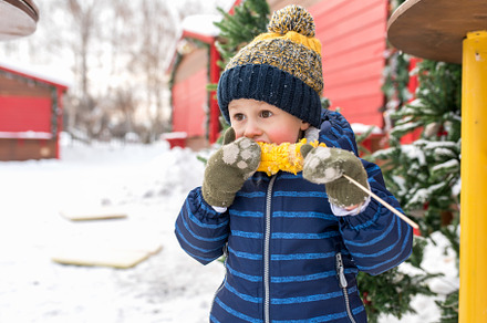 Little boy eats boiled corn in stock photo containing corn and hot