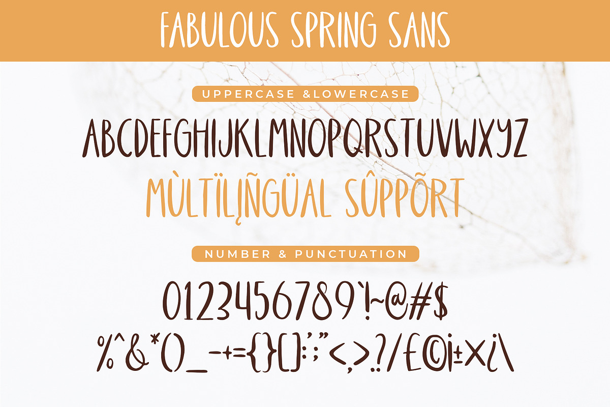 Fabulous Spring - A Font Duo, a Script Font by Beautypes (Photo 7 of 7)