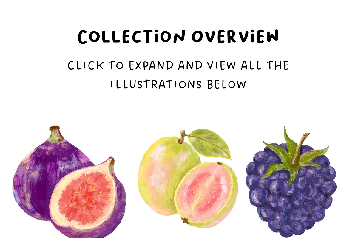 +32 Hand-Painted Fruit Collection, a Food Illustration by The Journey Atelier (Photo 4 of 19)
