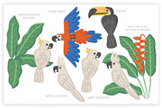 36 Tropical Elements + 12 Patterns, an Object Graphic by monkik (Thumbnail 7 of 11)