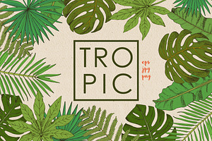 Tropic