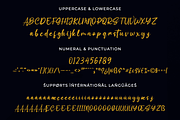Soothing signature font, a Script Font by twinstd (Thumbnail 12 of 14)