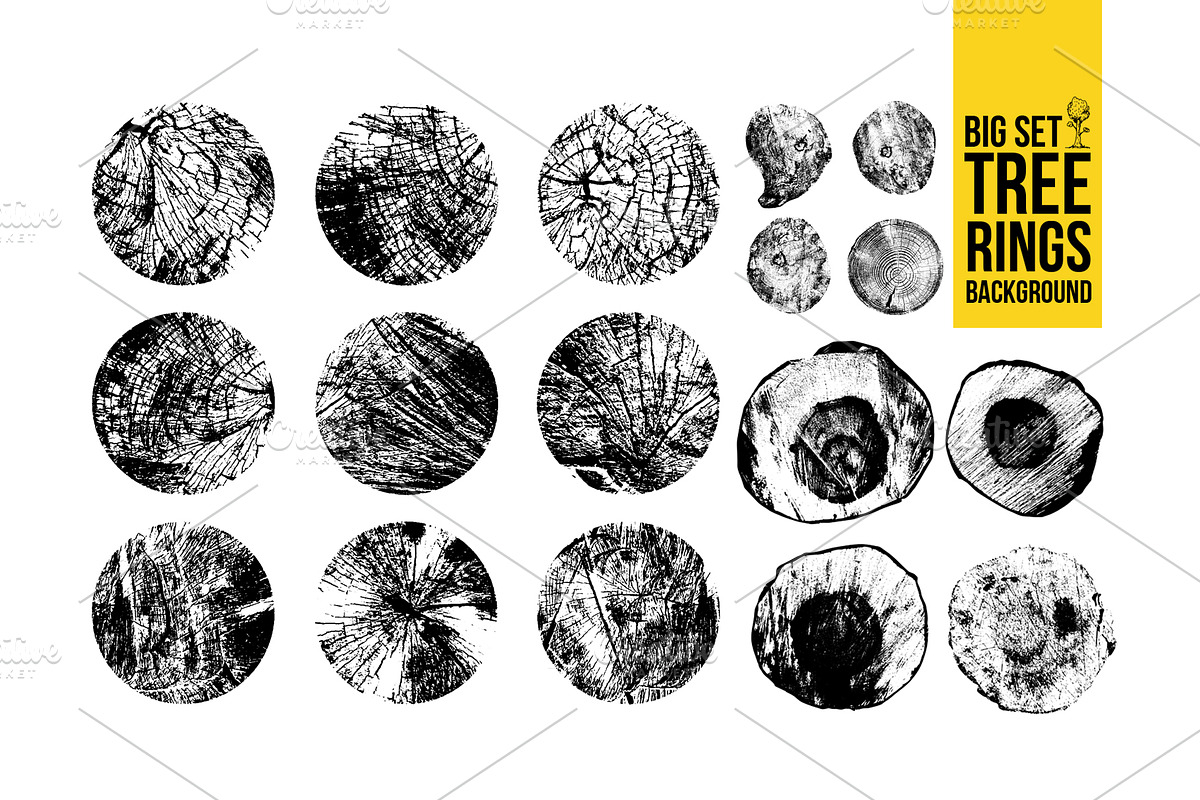 Big set of tree rings background., a Texture Graphic by Vector photo shop (Photo 1 of 4)