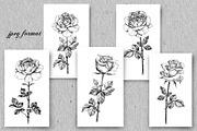 Elegant Roses Arrangements, a Decorative Illustration by Valentyna Smordova (Thumbnail 6 of 13)