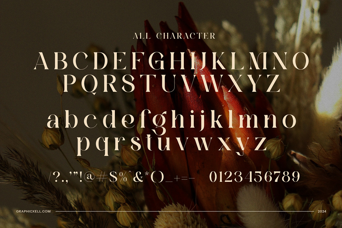 Magins Vintage Serif Font, a Serif Font by Graphicxell (Photo 8 of 8)