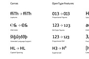 Carnas, a Sans Serif Font by Hoftype (Thumbnail 15 of 15)