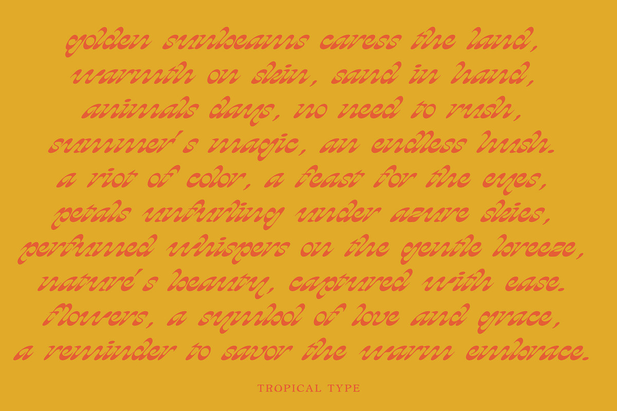 HEYDAY DISPLAY FONT, a Script Font by Tropical Type (Photo 10 of 11)