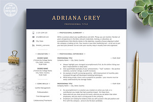 Professional Resume Template Design