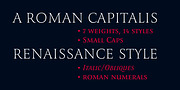 Romis, a Serif Font by Finaltype (Thumbnail 2 of 22)