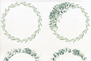 Watercolor Eucalyptus clip art., a Decorative Illustration by Mary (Thumbnail 3 of 4)