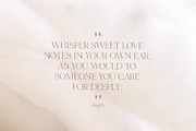Elegant serif font family Angele, a Serif Font by Angele Kamp (Thumbnail 3 of 9)