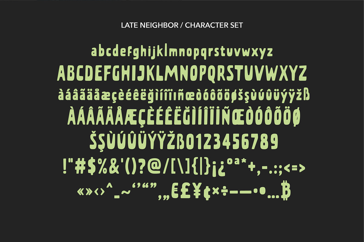 Late Neighbor Condensed Bold Sans, a Sans Serif Font by Struvictory.art (Photo 5 of 9)