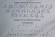 Ruliena, a Script Font by Integritype Studio (Thumbnail 9 of 15)