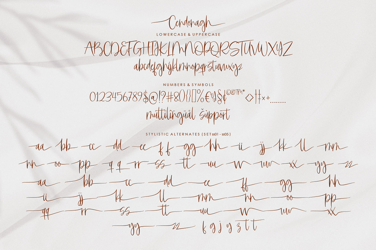 Cendonagh | Modern Script, a Script Font by Jhoel Design (Photo 12 of 15)