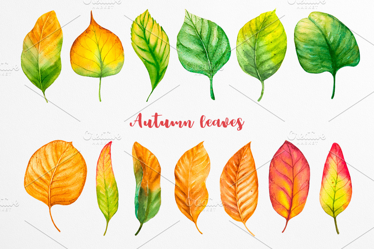 Fall collection. Watercolor., a Decorative Illustration by AlexGreenArt (Photo 2 of 11)