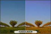 LAB Color Vol. 1 - Inverted Blend, a Plug-in Add-On by Raztrend (Thumbnail 22 of 30)