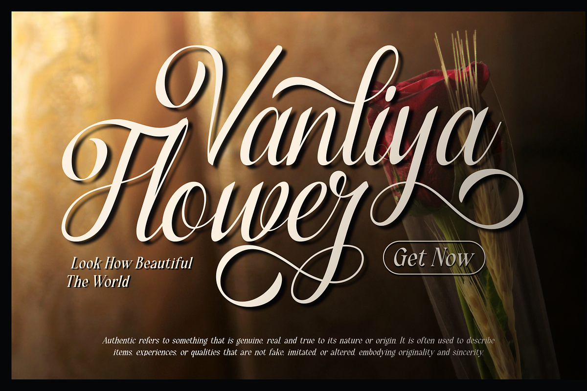 Varenda - Classic Elegant Script, a Script Font by MaikoHatta (Photo 3 of 7)
