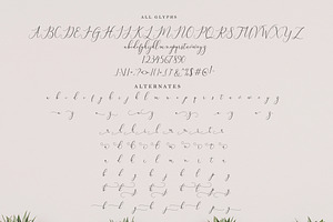 Bitthai Script