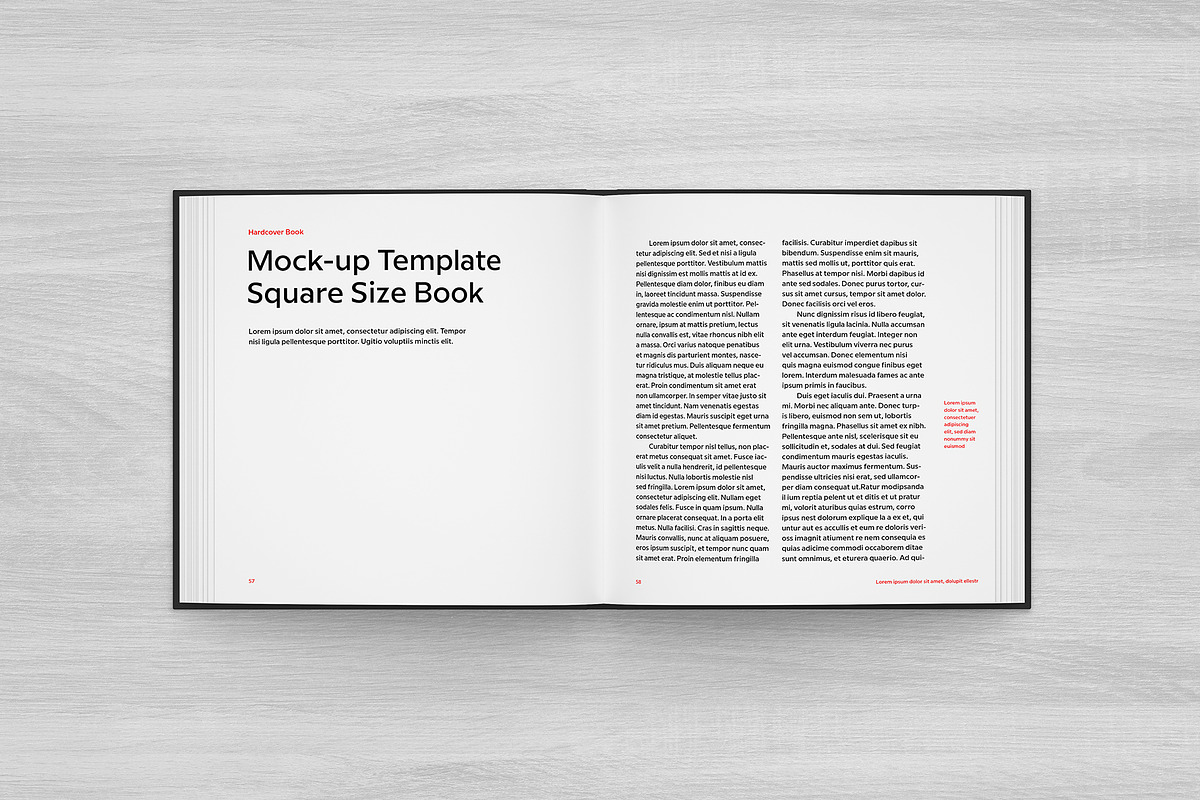 Hardcover Square Book Mockup, a Books & Magazine Mockup by Petr Stránský (Photo 8 of 21)
