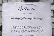 Gallendo, a Script Font by Sarten (Thumbnail 11 of 11)