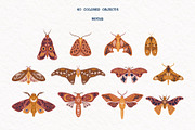 Mystic Moth | Vector collection, a Decorative Illustration by katieromanoff_art (Thumbnail 3 of 22)