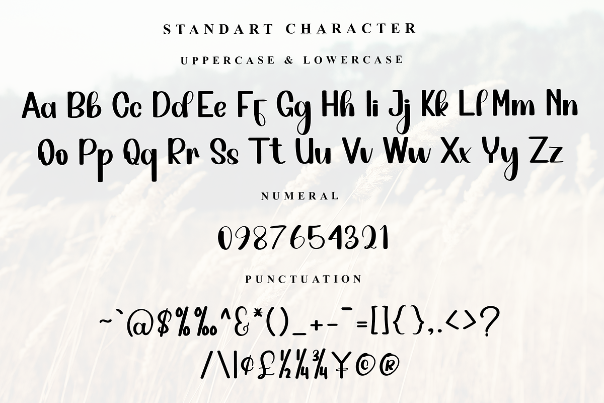 Handmade, a Handwritten Font by FreshTypeINK (Photo 3 of 7)