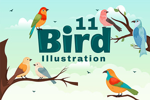 11 Bird Animal Vector Illustration