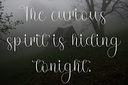 American Handmade, a Handwritten Font by FreshTypeINK (Thumbnail 8 of 8)