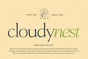 Fluneta, a Serif Font by zeenesia (Thumbnail 16 of 21)