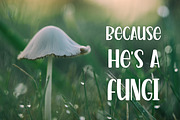 Mellow Yellow Butterball, a Script Font by Kristy Hatswell (Thumbnail 4 of 8)