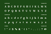 Elden Rue Bold Display Serif Font, a Serif Font by Rasio Studio (Thumbnail 2 of 11)