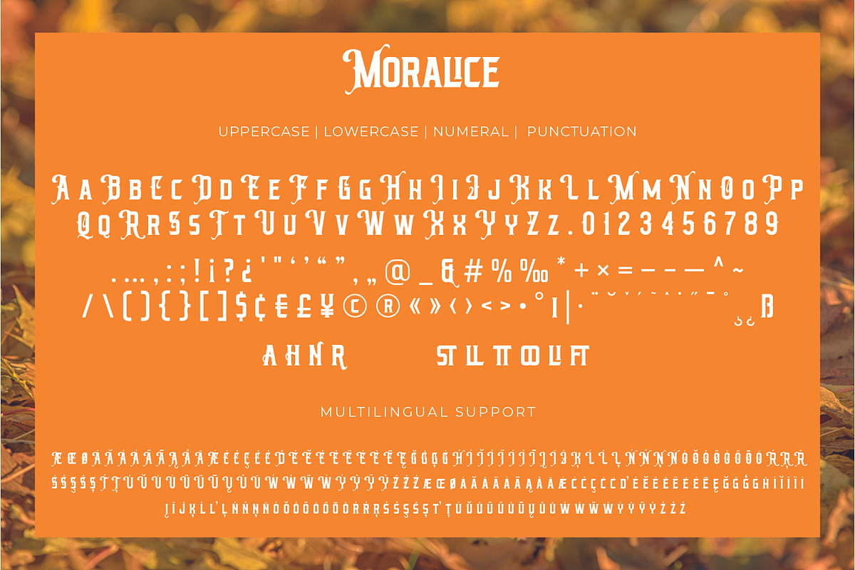 Moralice - Retro Vintage, a Serif Font by VUNIRA (Photo 2 of 6)