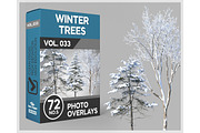 72 Winter Trees Photo Overlays, a Nature Photo by KenScape (Thumbnail 1 of 3)