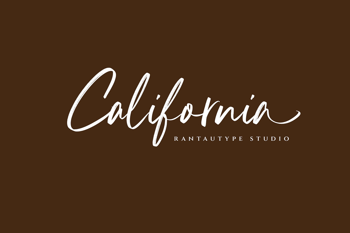 Hatichaly Classy Signature Brush Fon, a Script Font by RantautypeStudio (Photo 2 of 17)