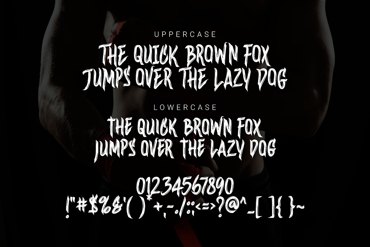 Wineer Brussh, a Font by Dumadistyle (Photo 2 of 10)