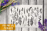 Wild field herbs. Botanical set., a Healthcare Illustration by Alena Kaz (Thumbnail 2 of 12)