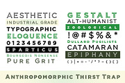 Veneer, a Serif Font by Loudoun Design Co. (Thumbnail 5 of 11)