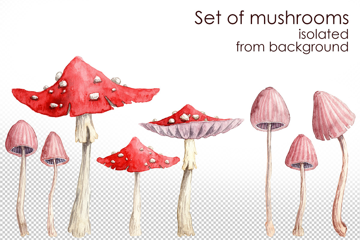 Mushroom valley, an Illustration by Dashamoony (Photo 6 of 7)