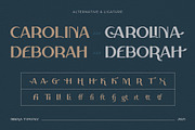 Rifieka // Modern Display Typeface, a Sans Serif Font by Letterature Std. (Thumbnail 6 of 10)