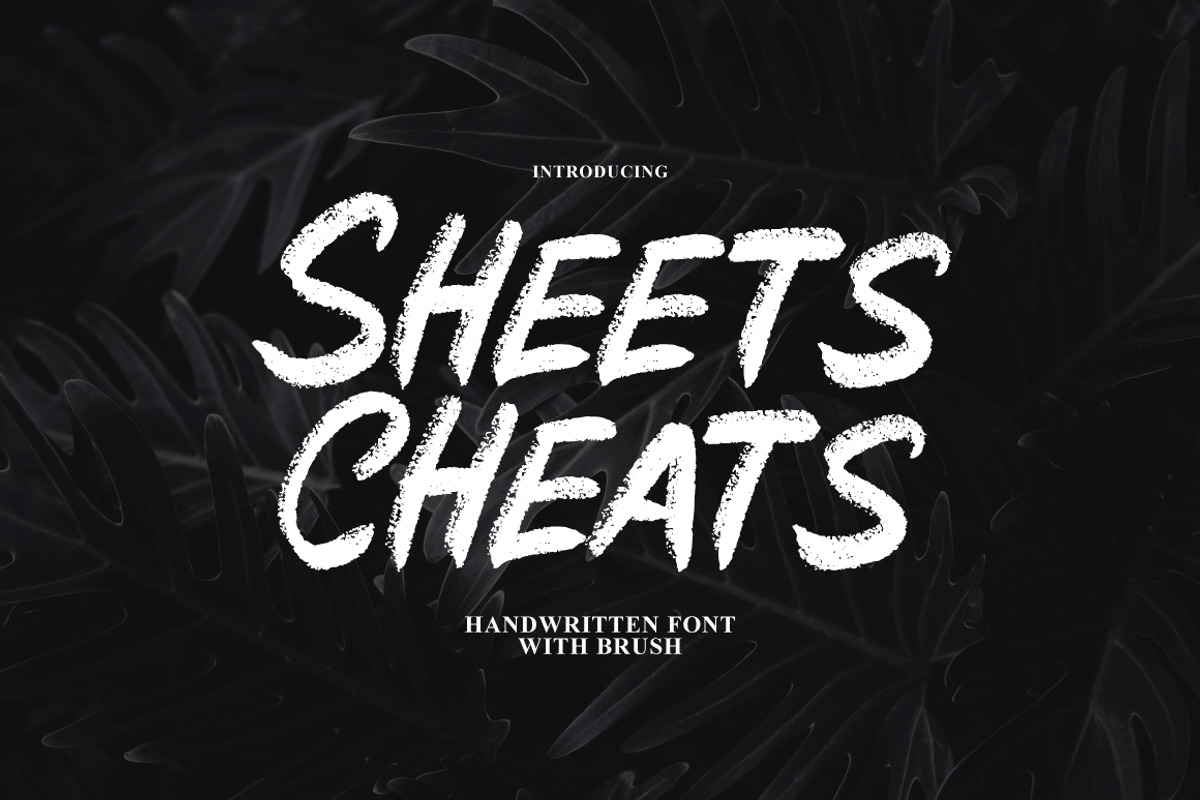 Sheets Cheats - Handwritten Brush, a Handwritten Font by tebaltipislab (Photo 1 of 10)