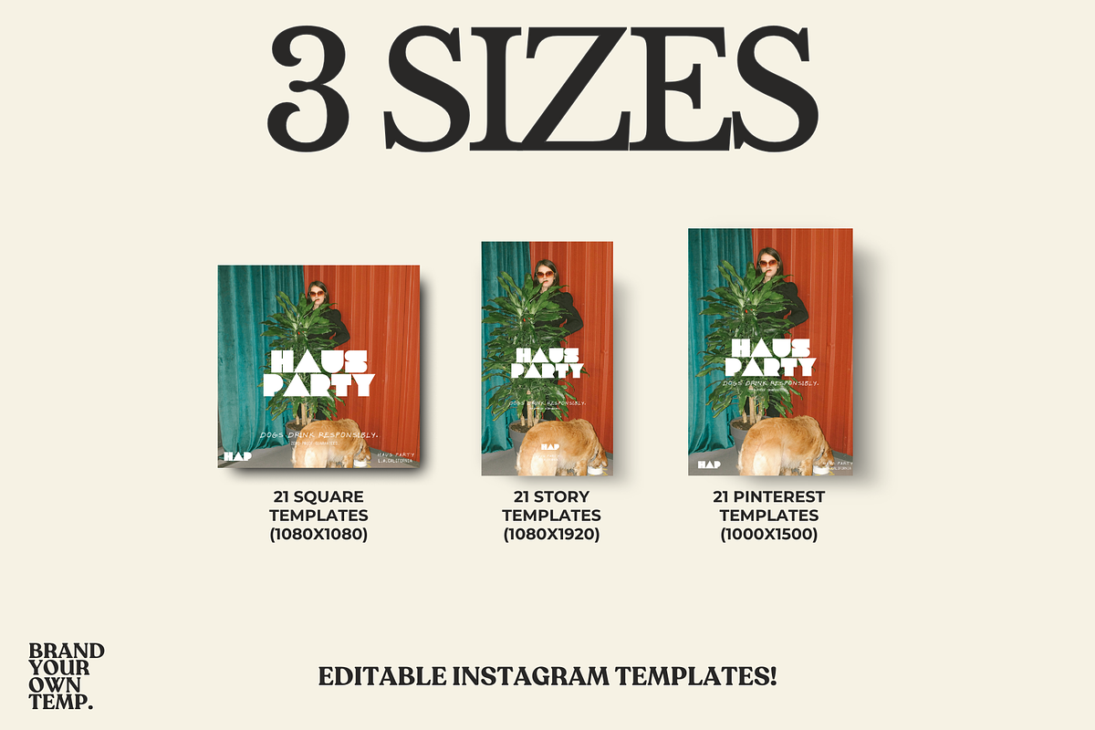 Aesthetic Social Media Template, a Templates & Theme by BYOTstudios (Photo 2 of 10)
