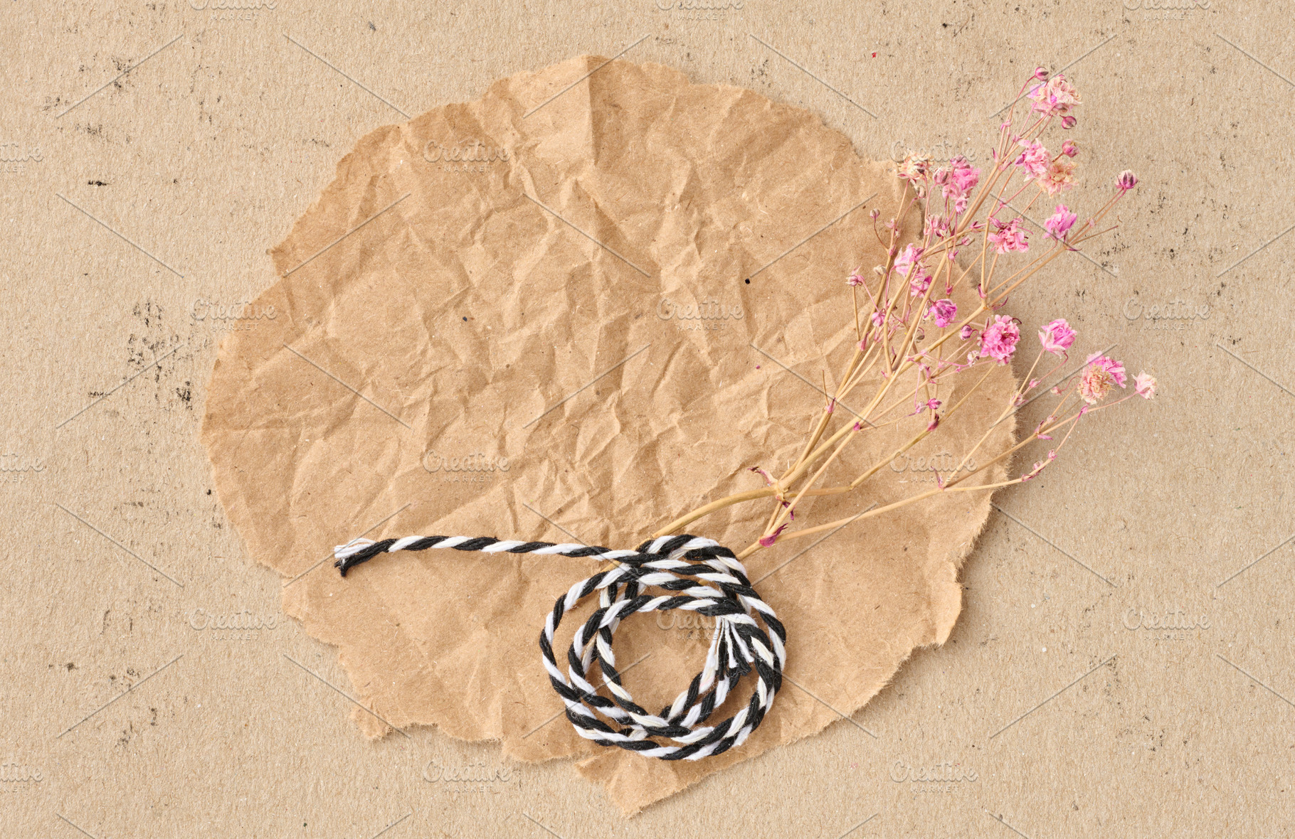 A crumpled sheet of kraft paper on a beige background. Dried pin, an Abstract Photo by ndanko
