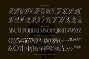 Andiena Bielsa - Hybrid Serif, a Serif Font by Arterfak Project (Thumbnail 11 of 12)