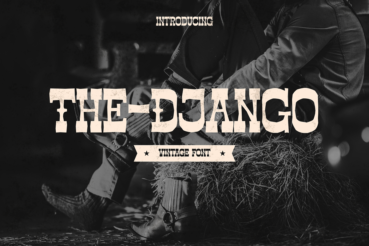 The Django – Vintage Font, a Sans Serif Font by Pinisi ART (Photo 1 of 10)