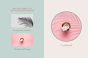 Animated Palm Leaf Shadow, a Product Mockup by Oui Create Studio (Thumbnail 3 of 4)