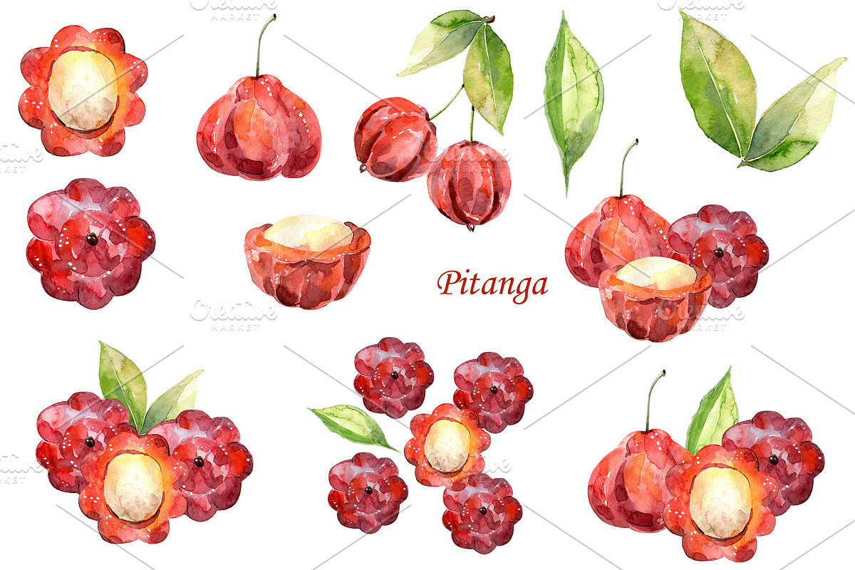 Watercolor tropical fruits., an Illustration by TaPilipa (Photo 31 of 39)