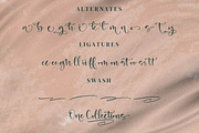 Abigail, a Script Font by Integritype Studio (Thumbnail 11 of 15)