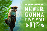MONKY - 7 Styles Font, a Font by Brandspark (Thumbnail 4 of 9)
